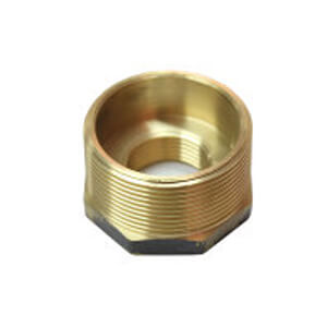 Brass Bush 1